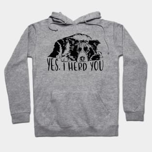 Border Collie I herd you herding dog saying Hoodie